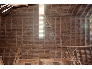 Property photo 100 - FARM & LAND AUCTION - 125+/- ACRES OFFERED IN 5 TRACTS IN EAST ALLEN COUNTY, INDIANA